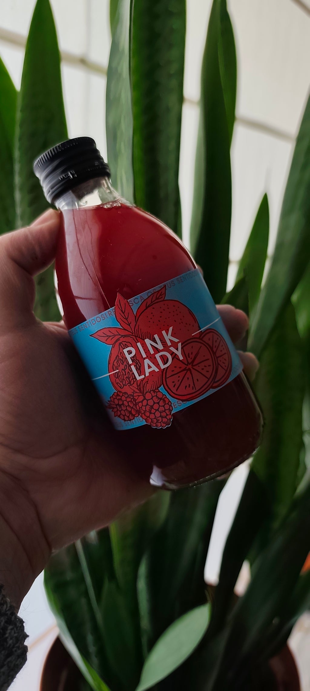 AMISHI PINK LADY | FRAMBOESA - MARACUJÁ - LIMÃO