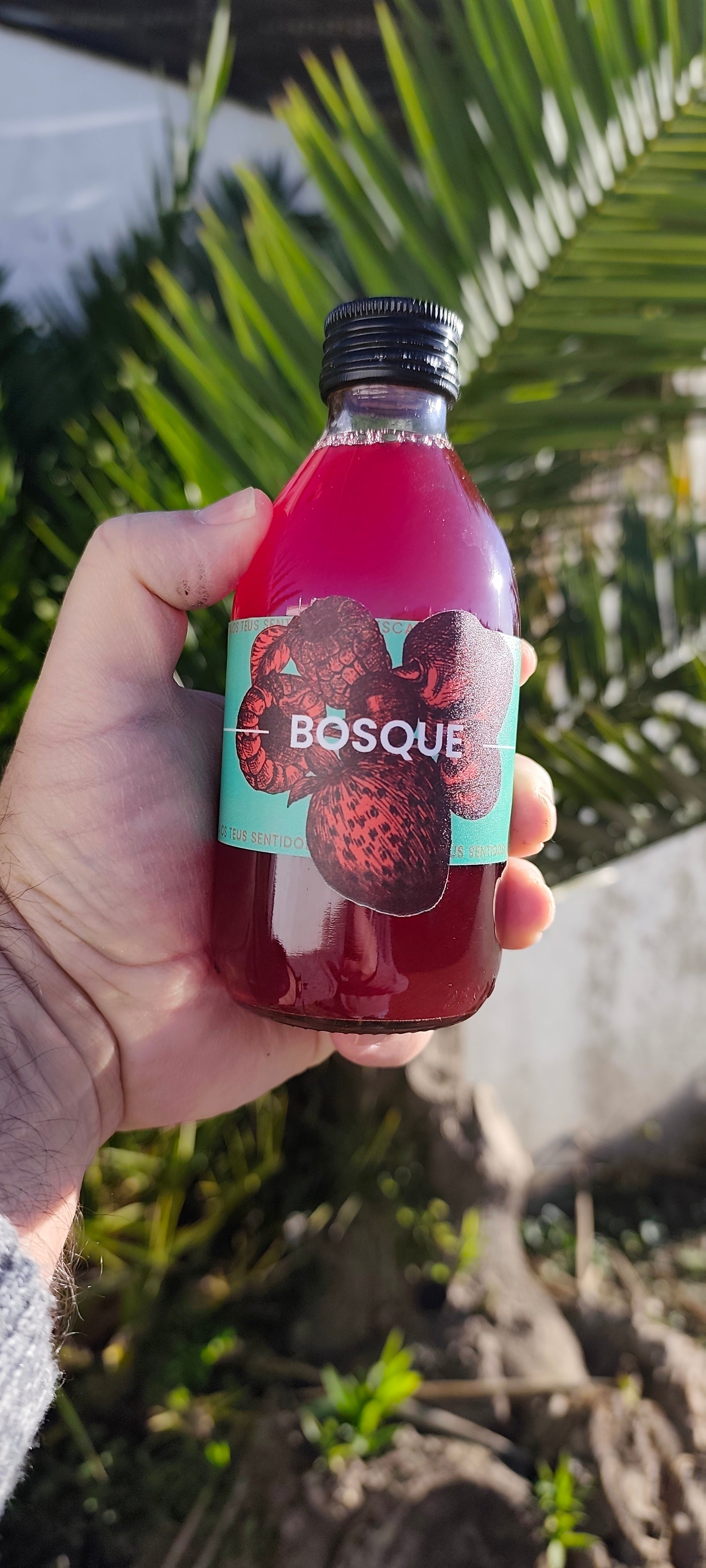 AMISHI BOSQUE | FRUTOS VERMELHOS