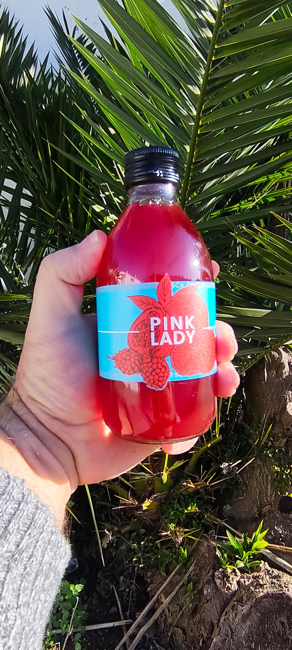 AMISHI PINK LADY | FRAMBOESA - MARACUJÁ - LIMÃO