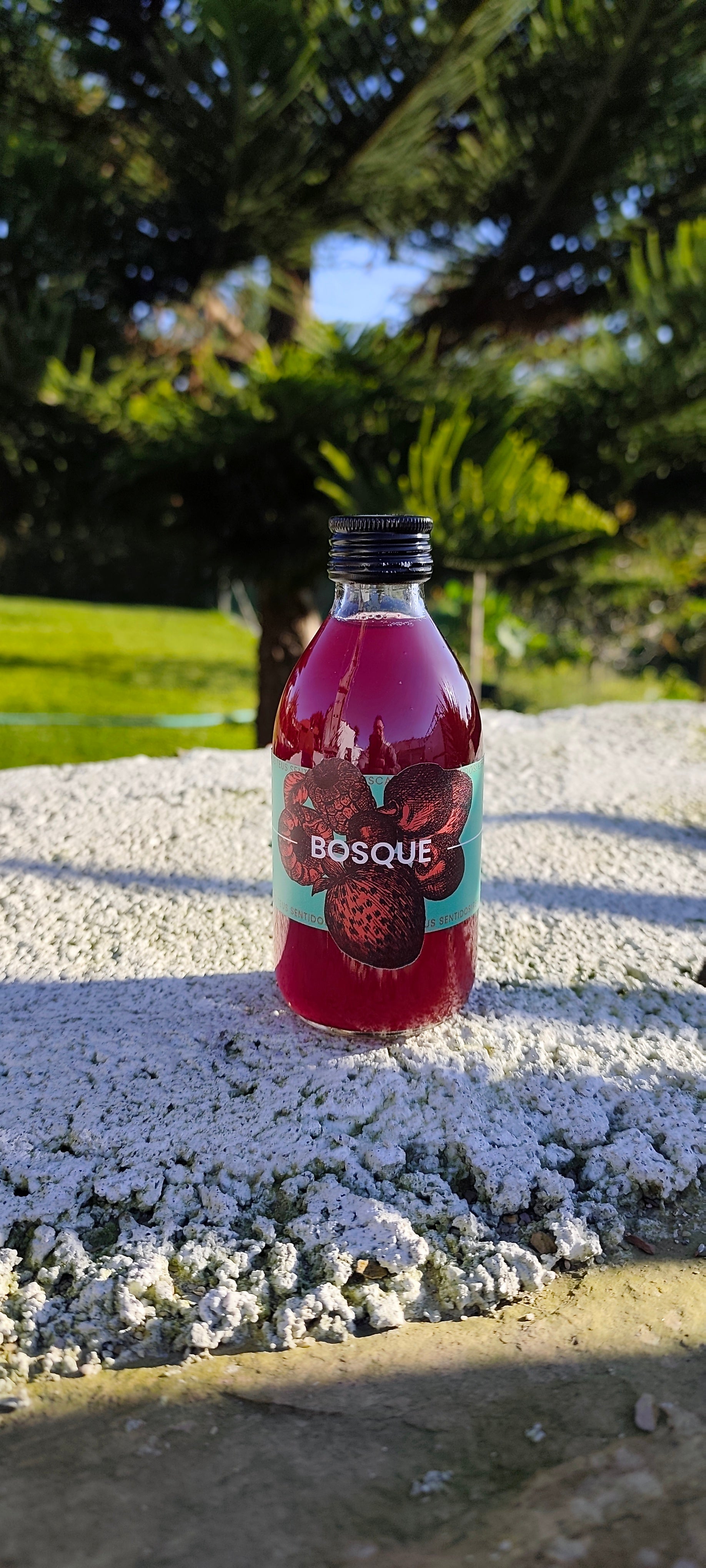 AMISHI BOSQUE | FRUTOS VERMELHOS